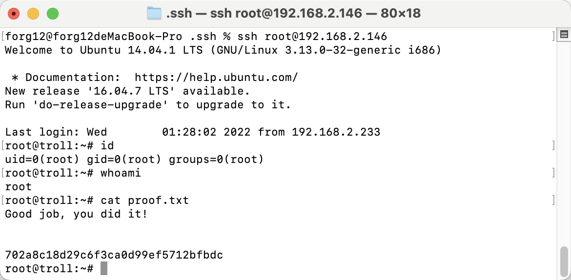 image-20220810162916491