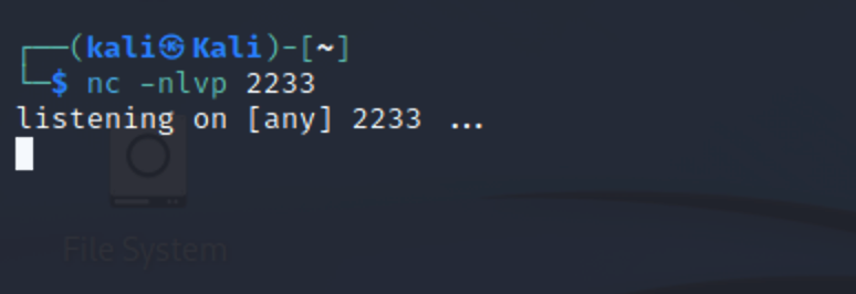 image-20221021114215012