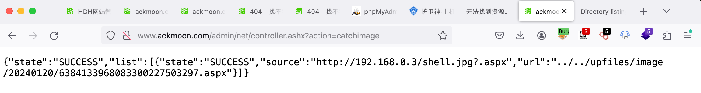 image-20240120184335912