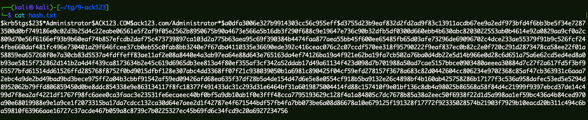 image-20240120184805665