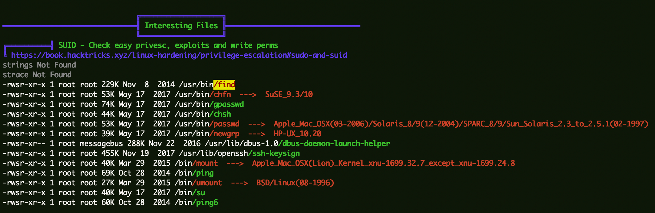 image-20240125181522040