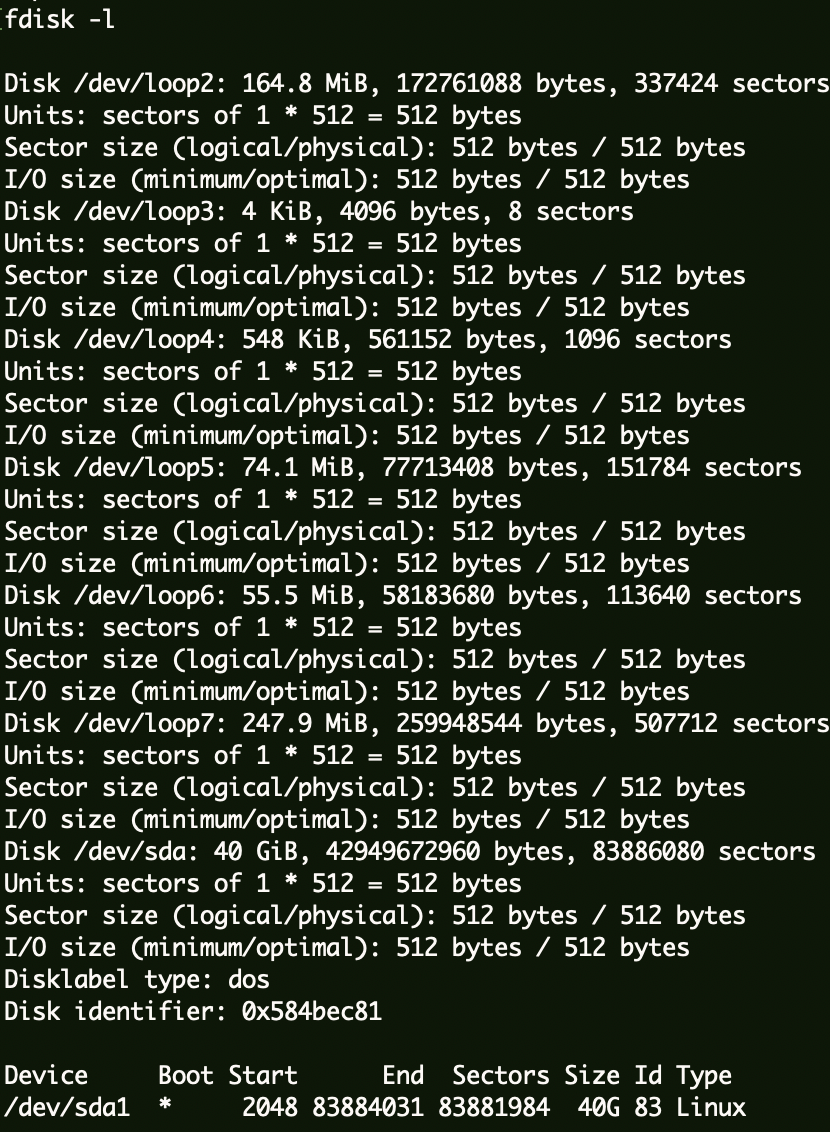 image-20240125181641772