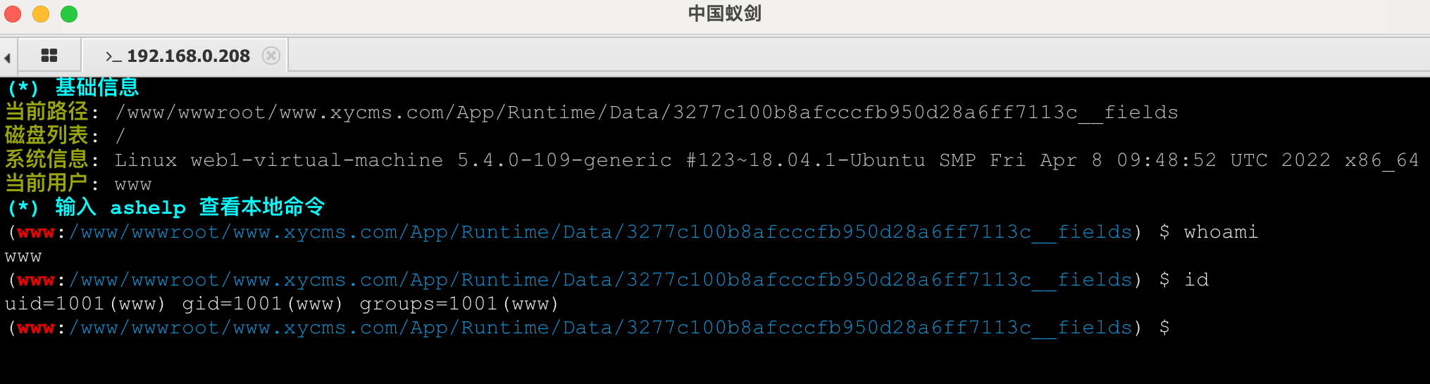 image-20240129001651926