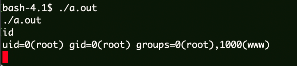 image-20240129001705090